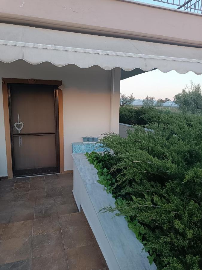 Villa The Secret Olive House Nea Michaniona Exterior foto